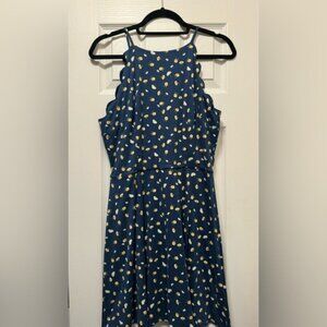 Taliyah Scallop Detail Knit Dress